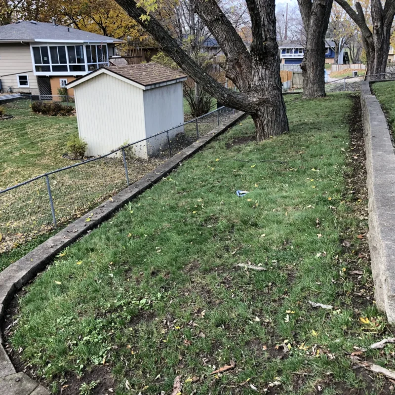 After Picture Of Leaf Clean Up